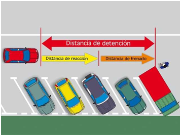 Distancia detención vehículo para evitar accidentes.